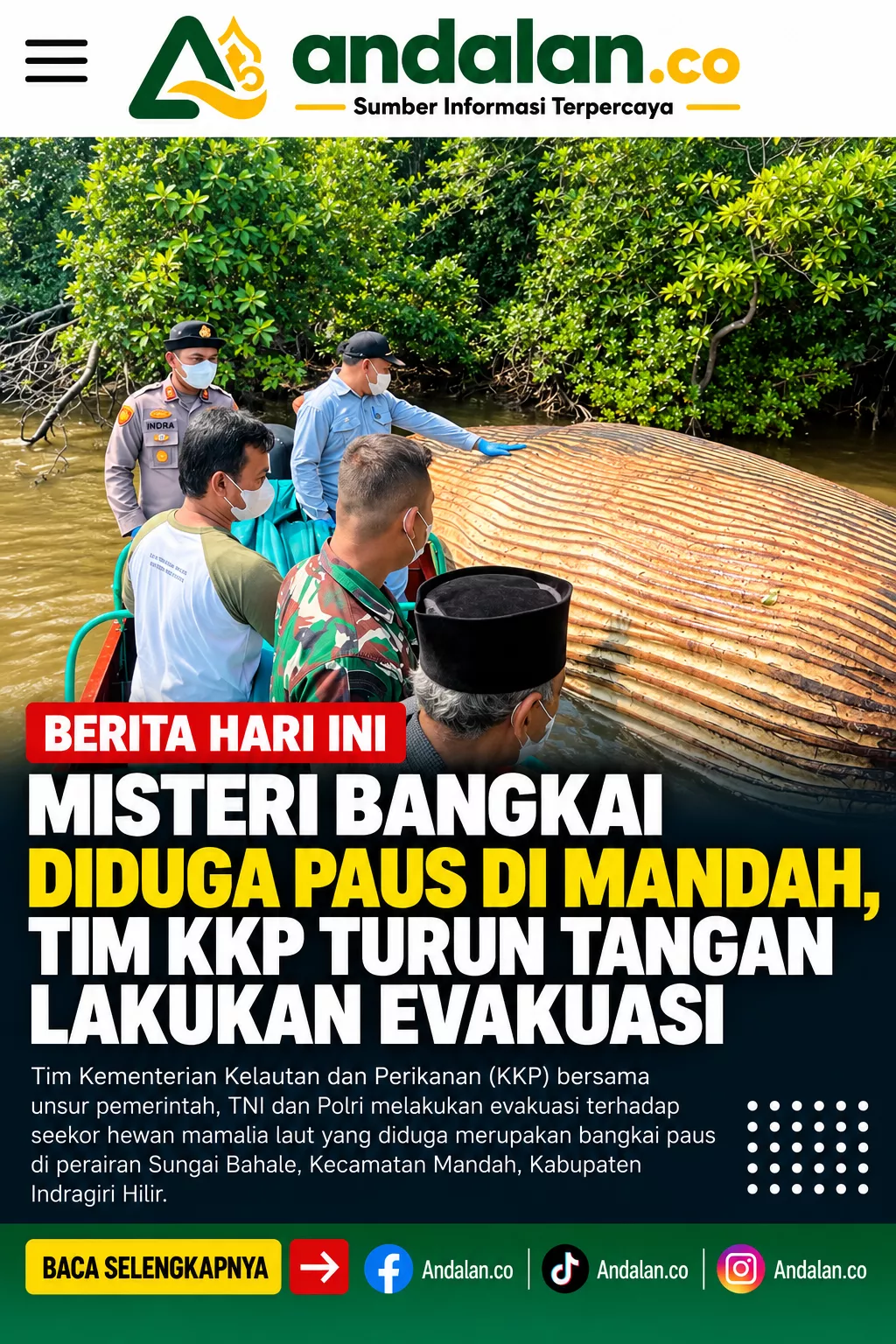 Misteri Bangkai Diduga Paus di Mandah, Tim KKP Turun Tangan Lakukan Evakuasi