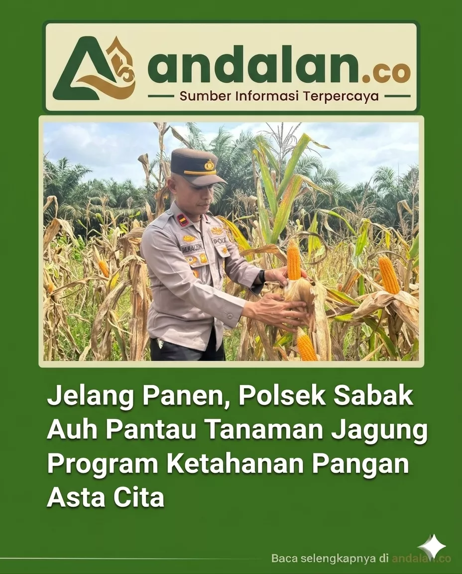 Jelang Panen, Polsek Sabak Auh Pantau Tanaman Jagung Program Ketahanan Pangan Asta Cita