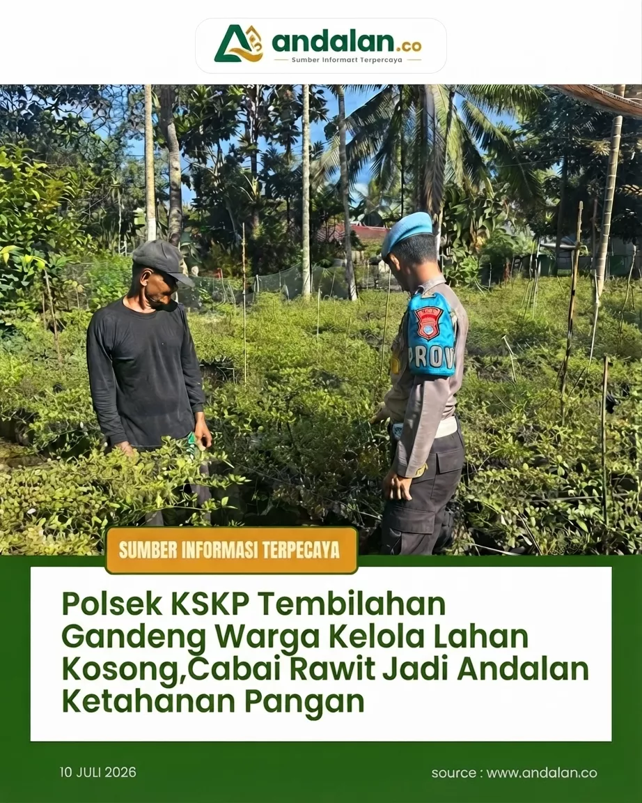 Polsek KSKP Tembilahan Gandeng Warga Kelola Lahan Kosong, Cabai Rawit Jadi Andalan Ketahanan Pangan