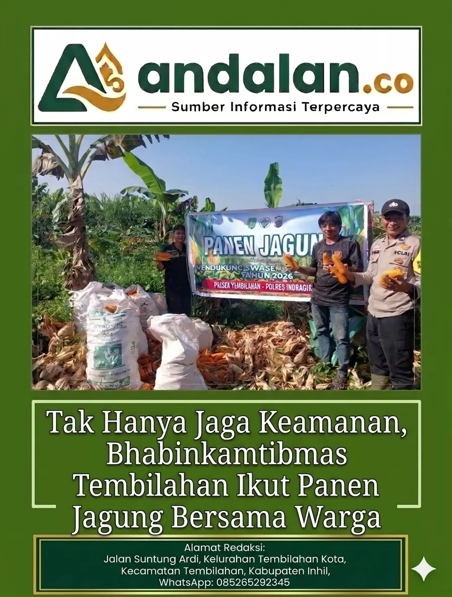 Tak Hanya Jaga Keamanan, Bhabinkamtibmas Tembilahan Ikut Panen Jagung Bersama Warga