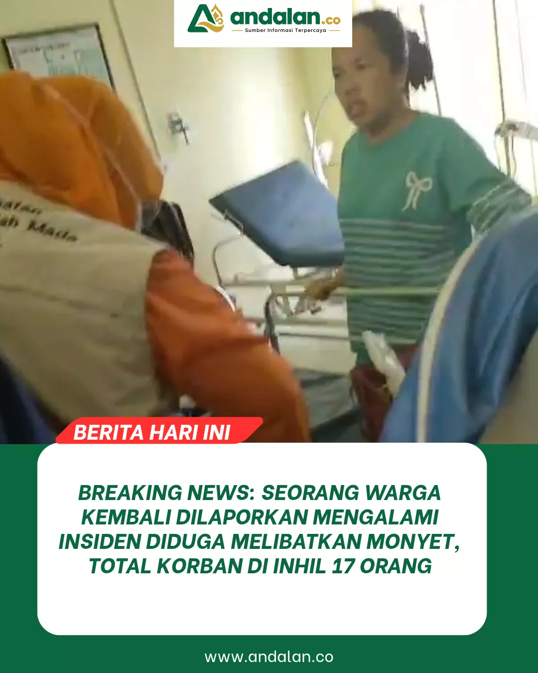 BREAKING NEWS: Seorang Warga Kembali Dilaporkan Mengalami Insiden Diduga Melibatkan Monyet, Total Korban di Inhil 17 Orang