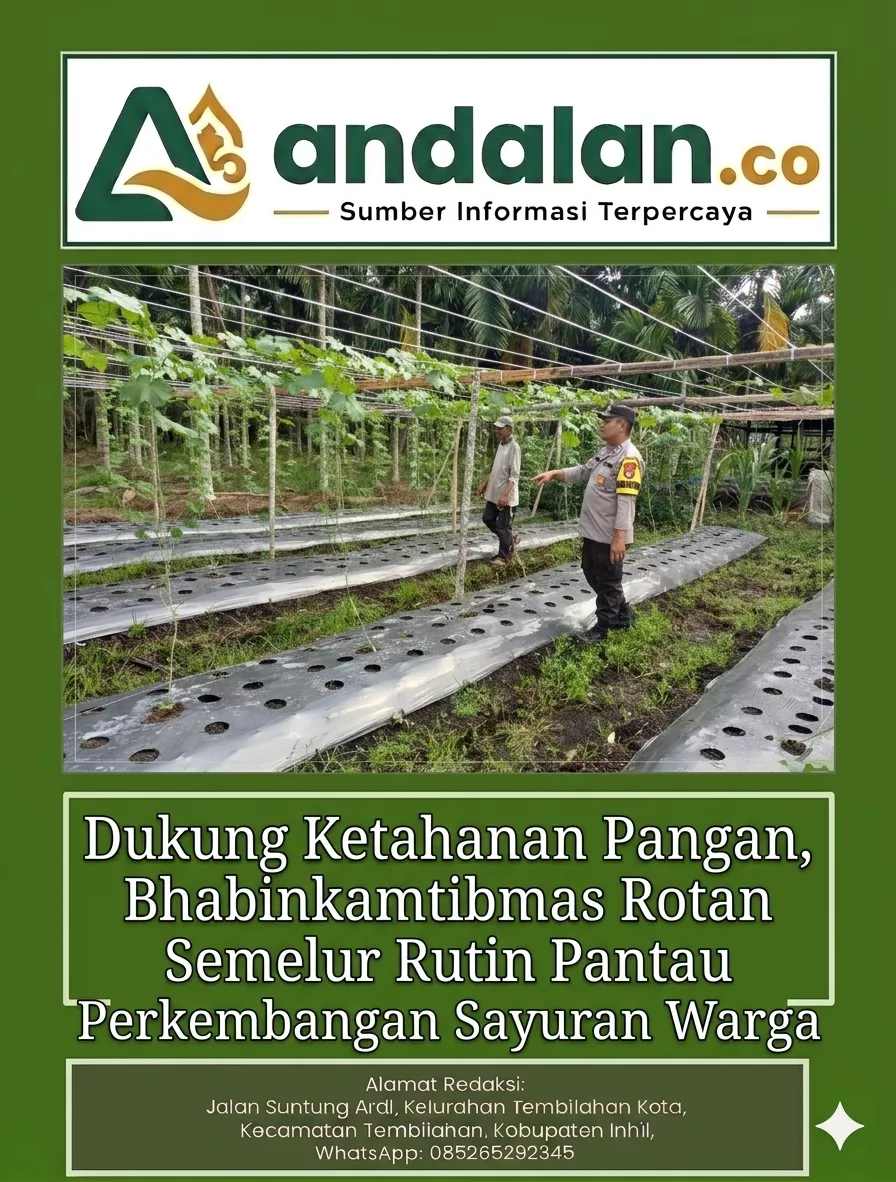 Dukung Ketahanan Pangan,Bhabinkamtibmas Rotan Semelur Rutin Pantau Perkembangan Sayuran Warga