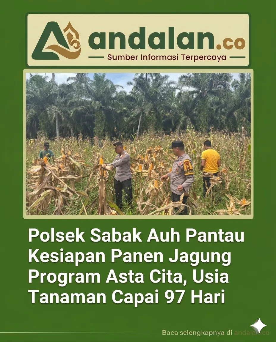 Polsek Sabak Auh Pantau Kesiapan Panen Jagung Program Asta Cita, Usia Tanaman Capai 97 Hari