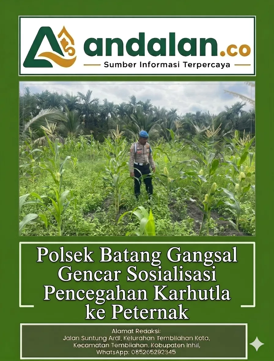 Pastikan Tidak Diganggu Hama, Polsek Kuindra Pantau Jagung Secara Rutin