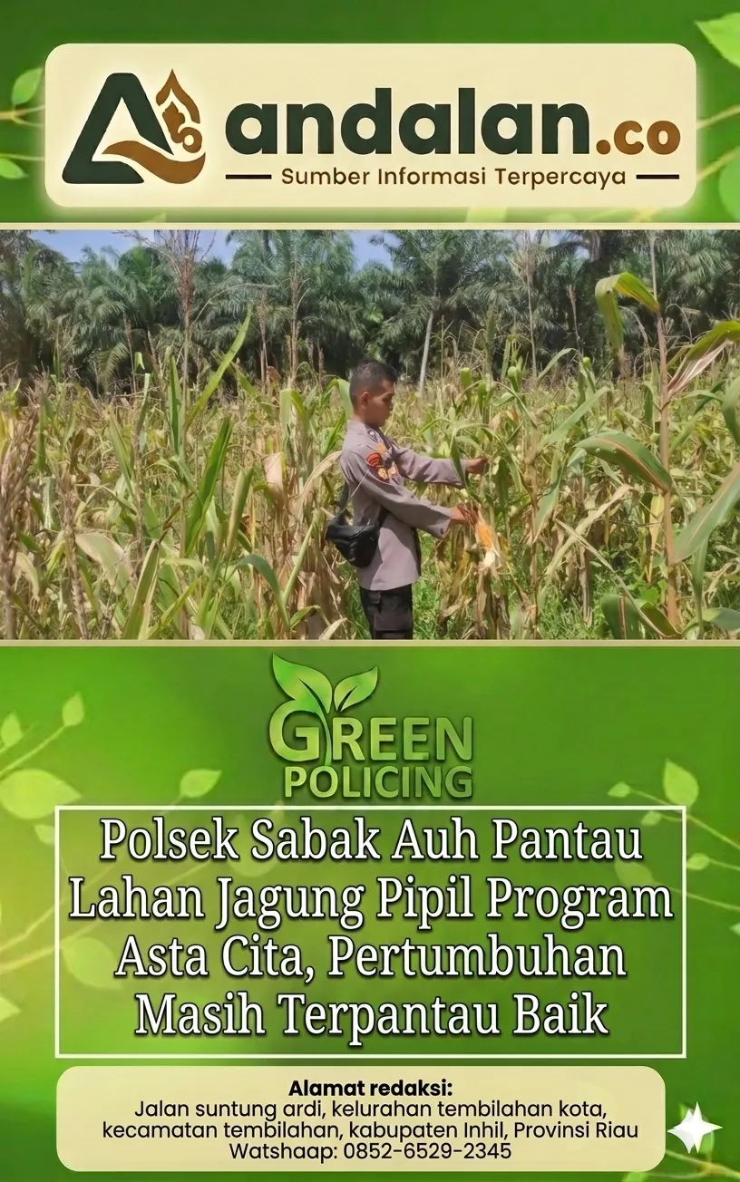 Polsek Sabak Auh Pantau Lahan Jagung Pipil Program Asta Cita, Pertumbuhan Masih Terpantau Baik
