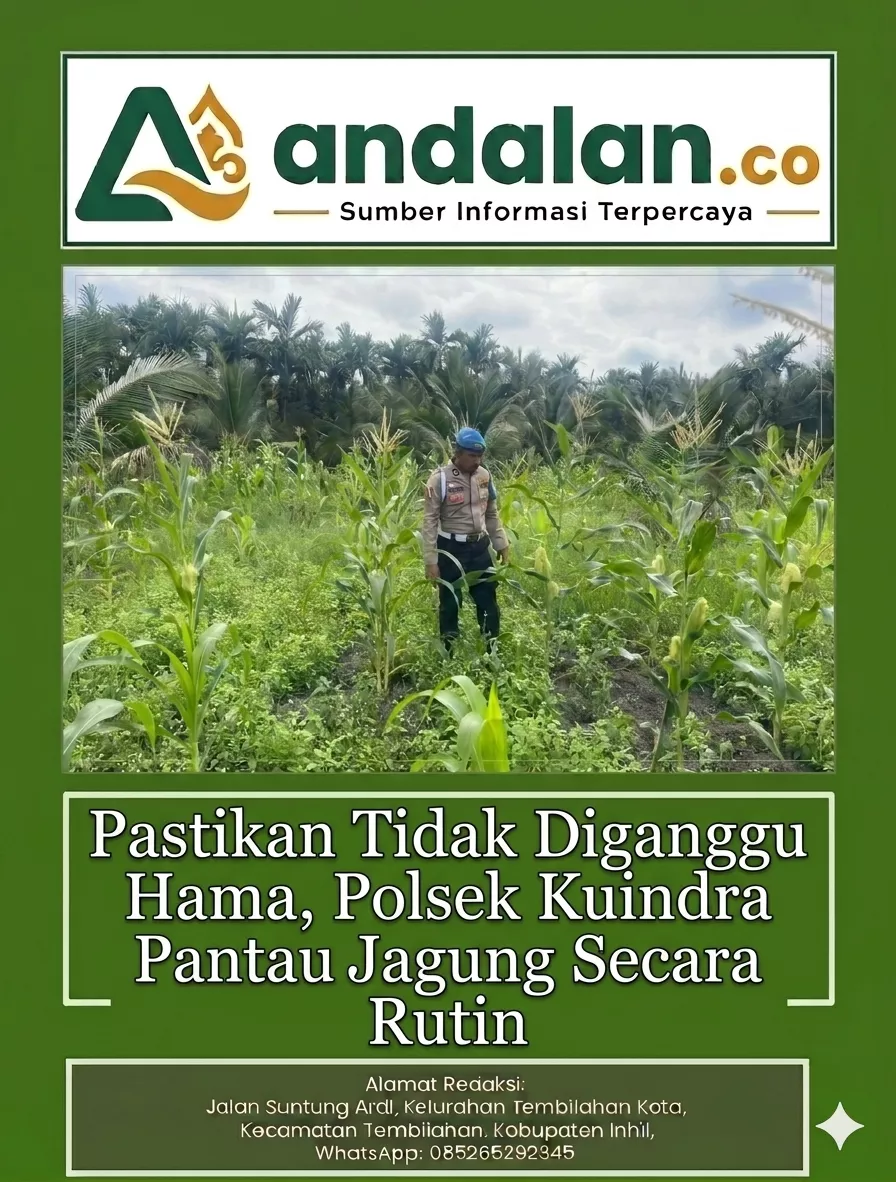 Pastikan Tidak Diganggu Hama, Polsek Kuindra Pantau Jagung Secara Rutin