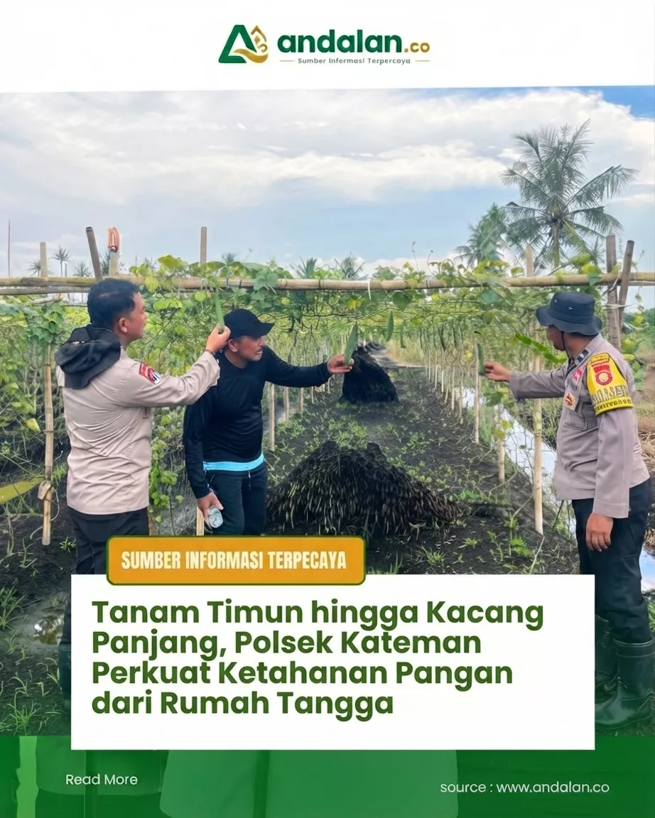 Tanam Timun hingga Kacang Panjang, Polsek Kateman Perkuat Ketahanan Pangan dari Rumah Tangga