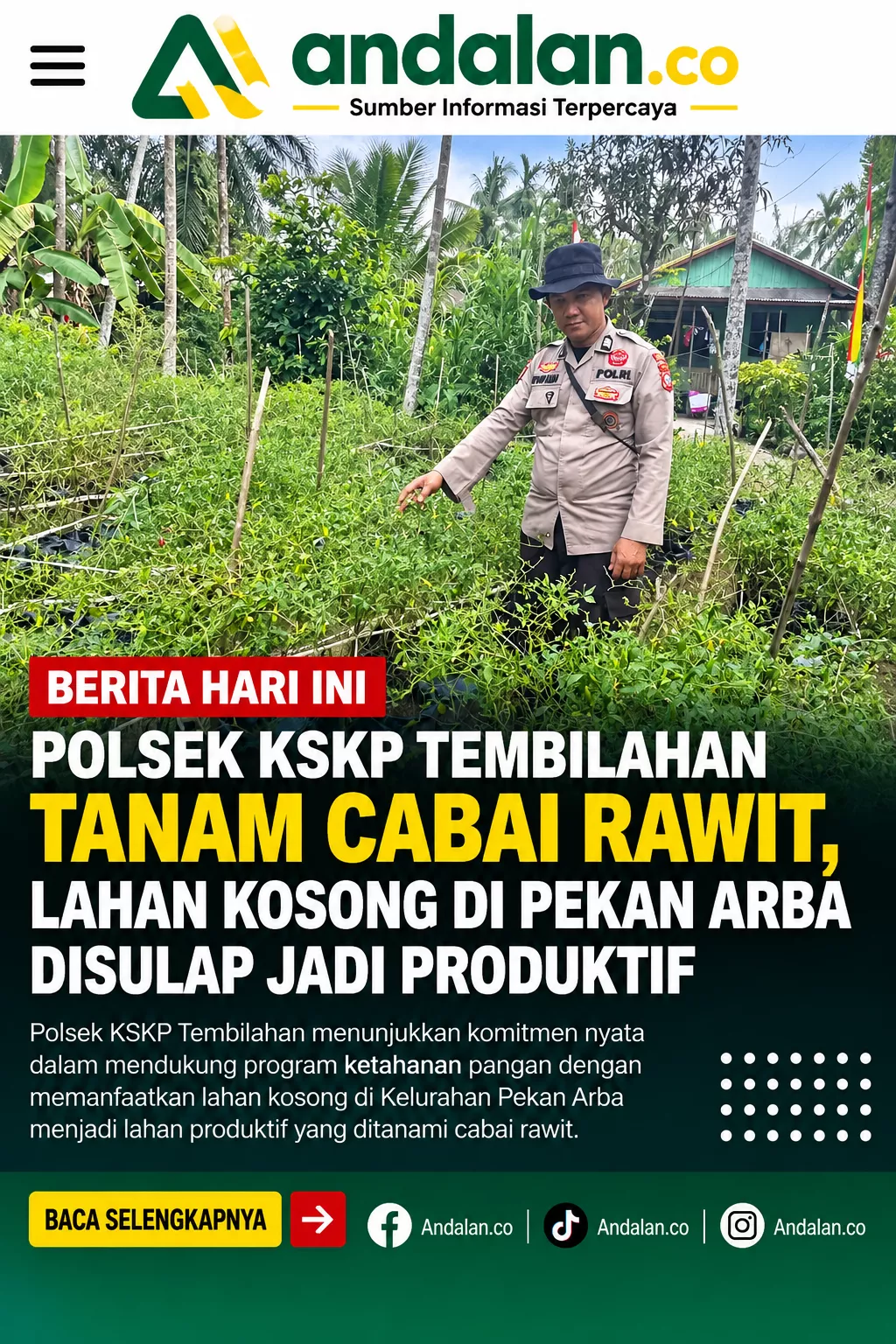 Polsek KSKP Tembilahan Tanam Cabai Rawit, Lahan Kosong di Pekan Arba Disulap Jadi Produktif