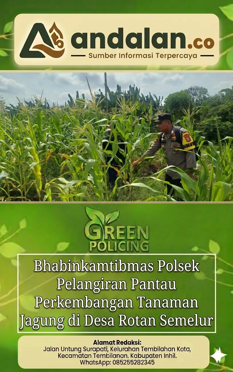 Bhabinkamtibmas Polsek Pelangiran Pantau Perkembangan Tanaman Jagung di Desa Rotan Semelur