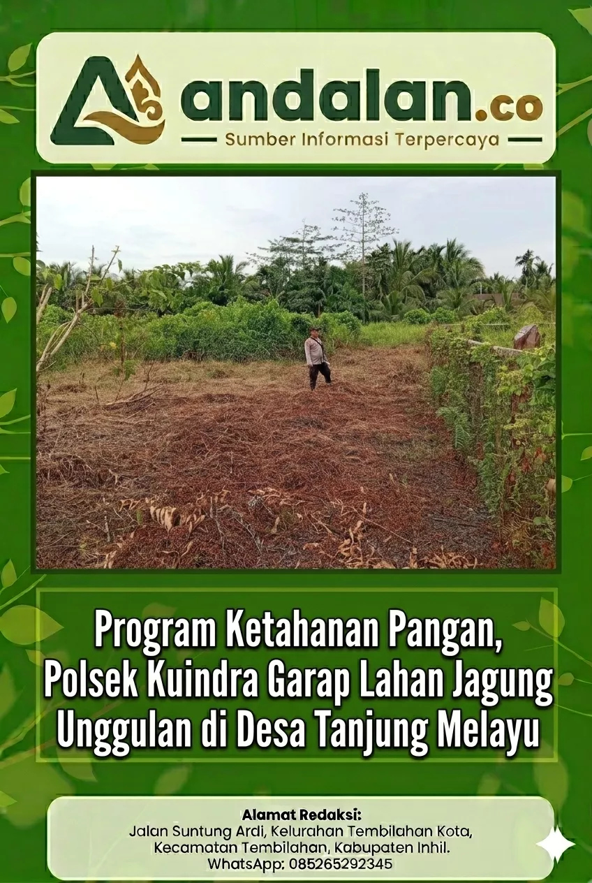 Program Ketahanan Pangan, Polsek Kuindra Garap Lahan Jagung Unggulan di Desa Tanjung Melayu