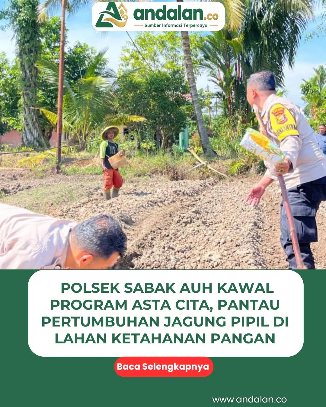 Polsek Sabak Auh Kawal Program Asta Cita, Pantau Pertumbuhan Jagung Pipil di Lahan Ketahanan Pangan