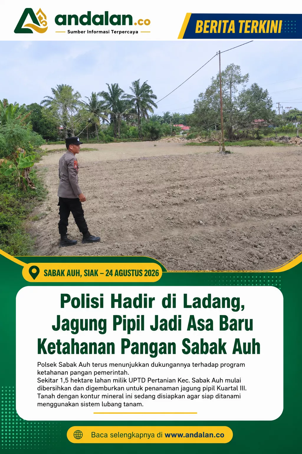 Polisi Hadir di Ladang, Jagung Pipil Jadi Asa Baru Ketahanan Pangan Sabak Auh