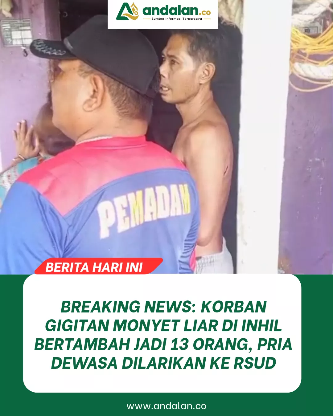 Breaking News: Korban Gigitan Monyet Liar di Inhil Bertambah Jadi 13 Orang, Pria Dewasa Dilarikan ke RSUD