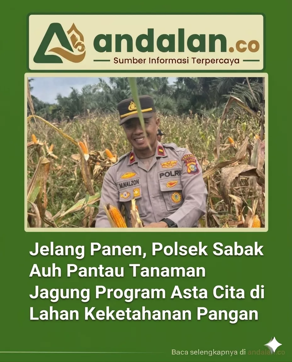 Jelang Panen, Polsek Sabak Auh Pantau Tanaman Jagung Program Asta Cita di Lahan Ketahanan Pangan
