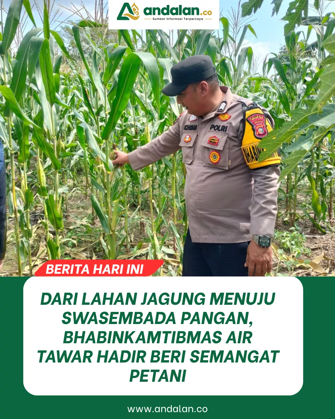 Dari Lahan Jagung Menuju Swasembada Pangan, Bhabinkamtibmas Air Tawar Hadir Beri Semangat Petani