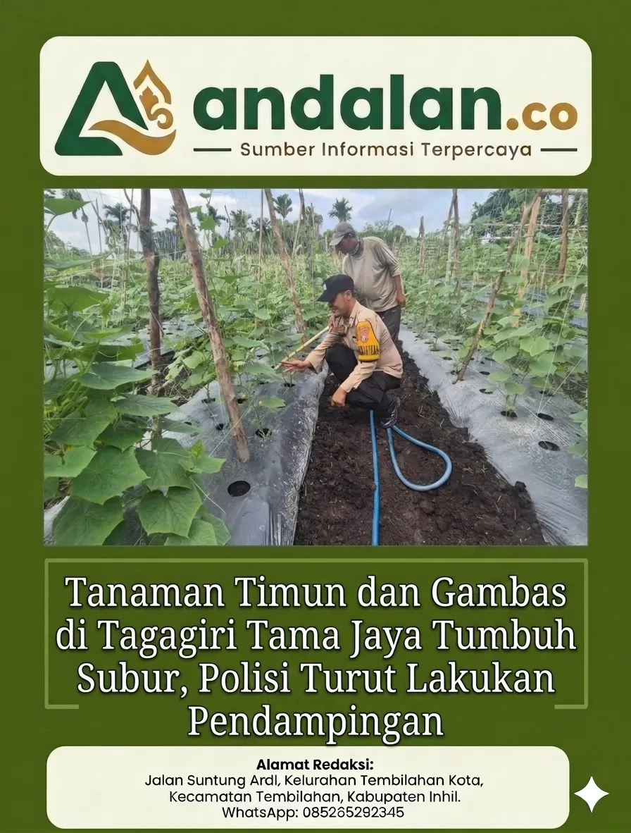 Tanaman Timun dan Gambas di Tagagiri Tama Jaya Tumbuh Subur, Polisi Turut Lakukan Pendampingan