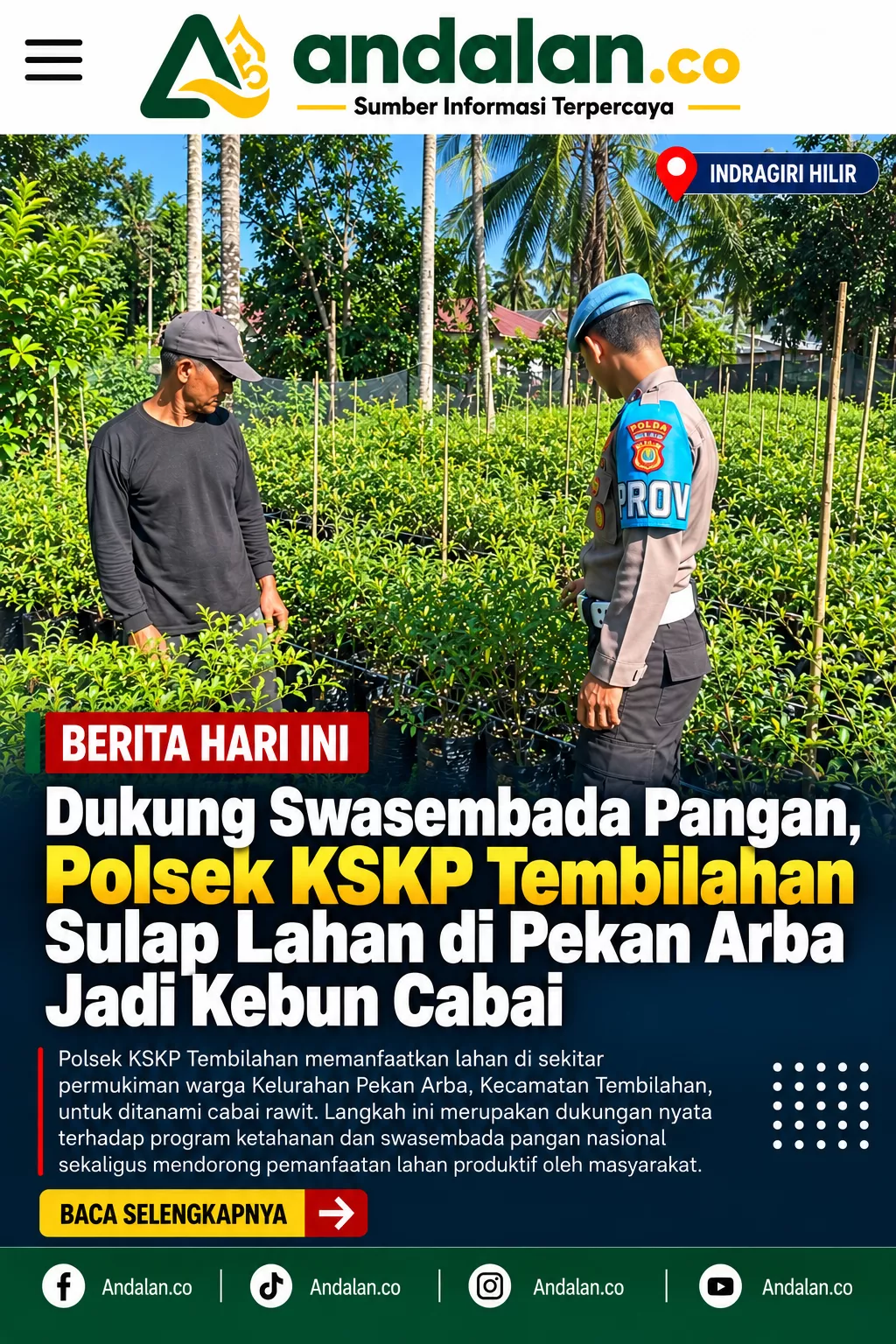 Dukung Swasembada Pangan, Polsek KSKP Tembilahan Sulap Lahan di Pekan Arba Jadi Kebun Cabai