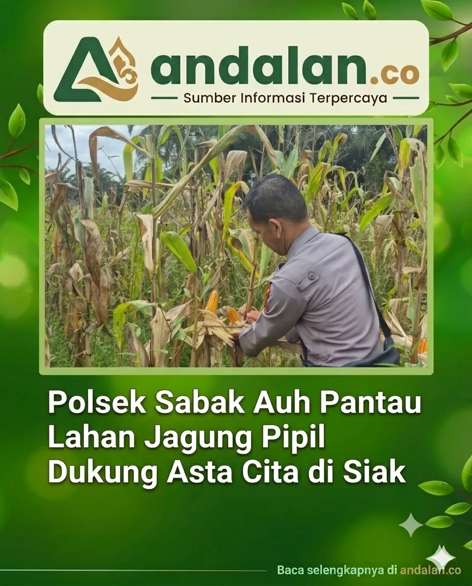Polsek Sabak Auh Pantau Lahan Jagung Pipil Dukung Asta Cita di Siak