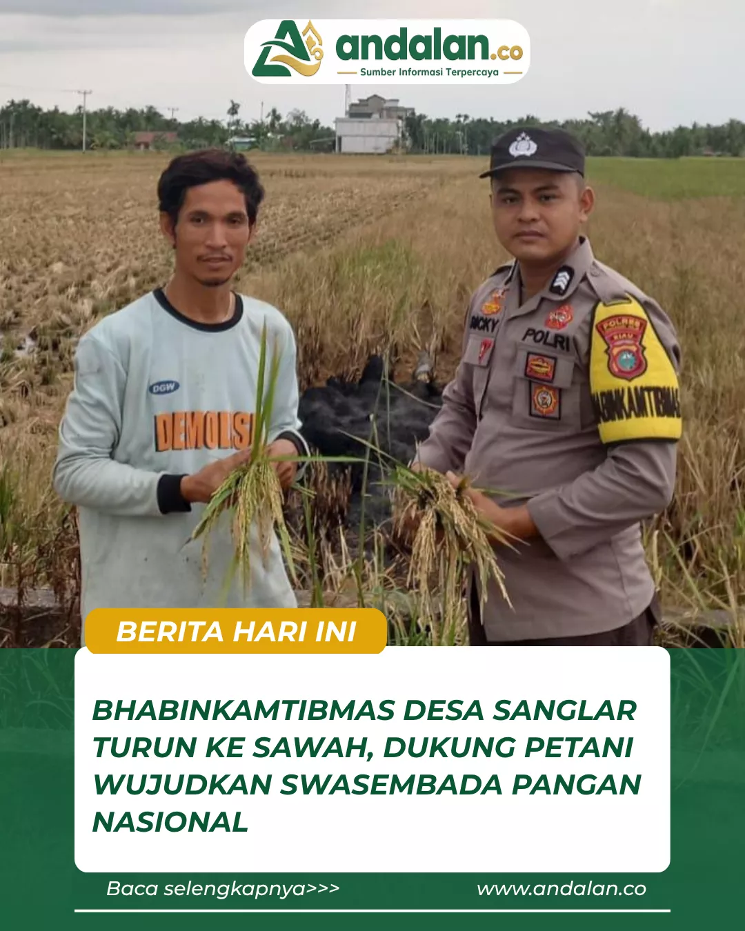 Bhabinkamtibmas Desa Sanglar Turun ke Sawah, Dukung Petani Wujudkan Swasembada Pangan Nasional