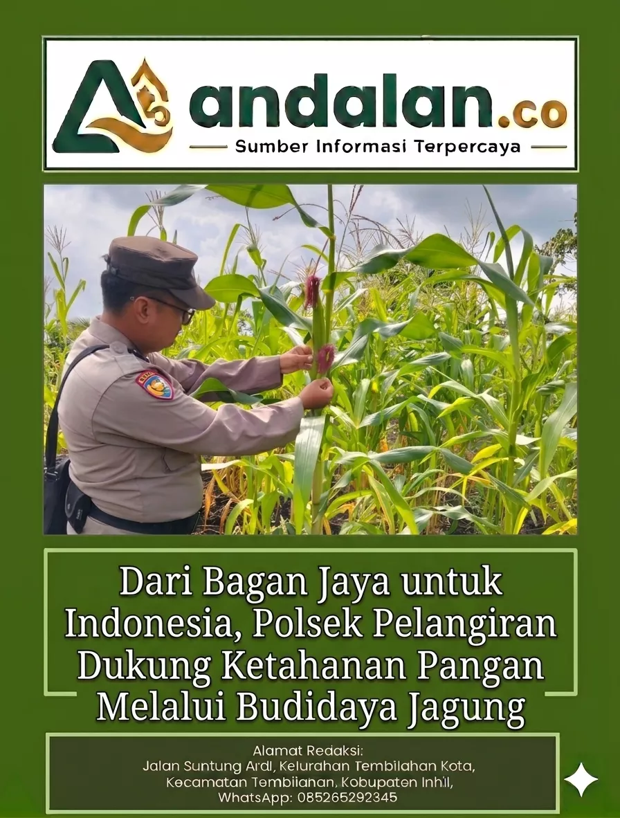 Dari Bagan Jaya untuk Indonesia, Polsek Pelangiran Dukung Ketahanan Pangan Melalui Budidaya Jagung