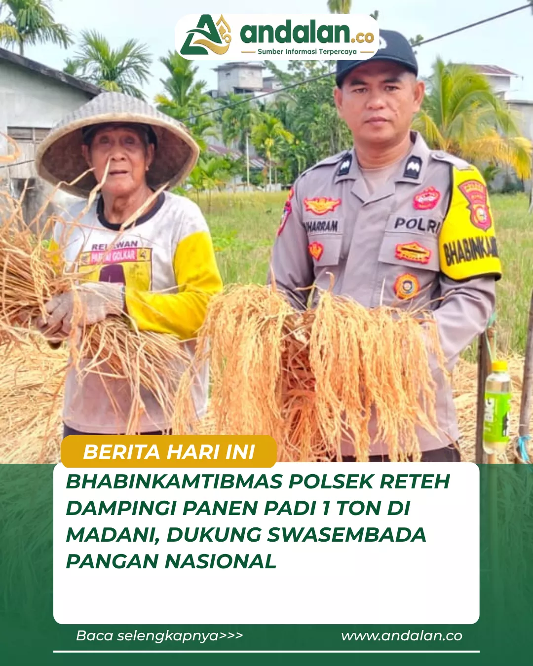 Bhabinkamtibmas Polsek Reteh Dampingi Panen Padi 1 Ton di Madani, Dukung Swasembada Pangan Nasional