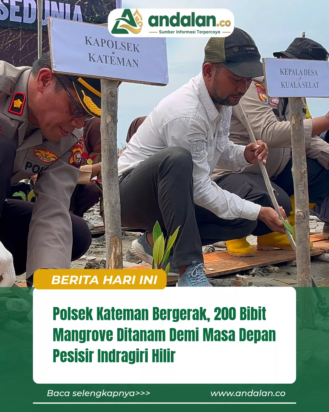 Polsek Kateman Bergerak, 200 Bibit Mangrove Ditanam Demi Masa Depan Pesisir Indragiri Hilir