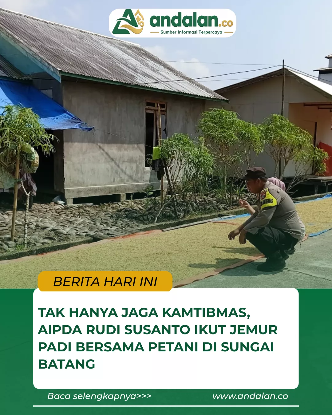 Tak Hanya Jaga Kamtibmas, Aipda Rudi Susanto Ikut Jemur Padi Bersama Petani di Sungai Batang