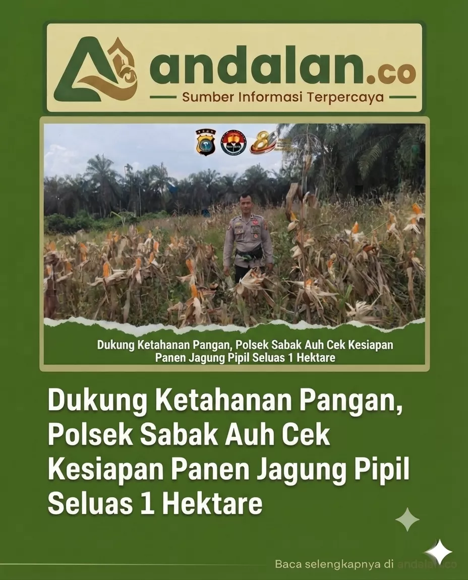 Dukung Ketahanan Pangan, Polsek Sabak Auh Cek Kesiapan Panen Jagung Pipil Seluas 1 Hektare