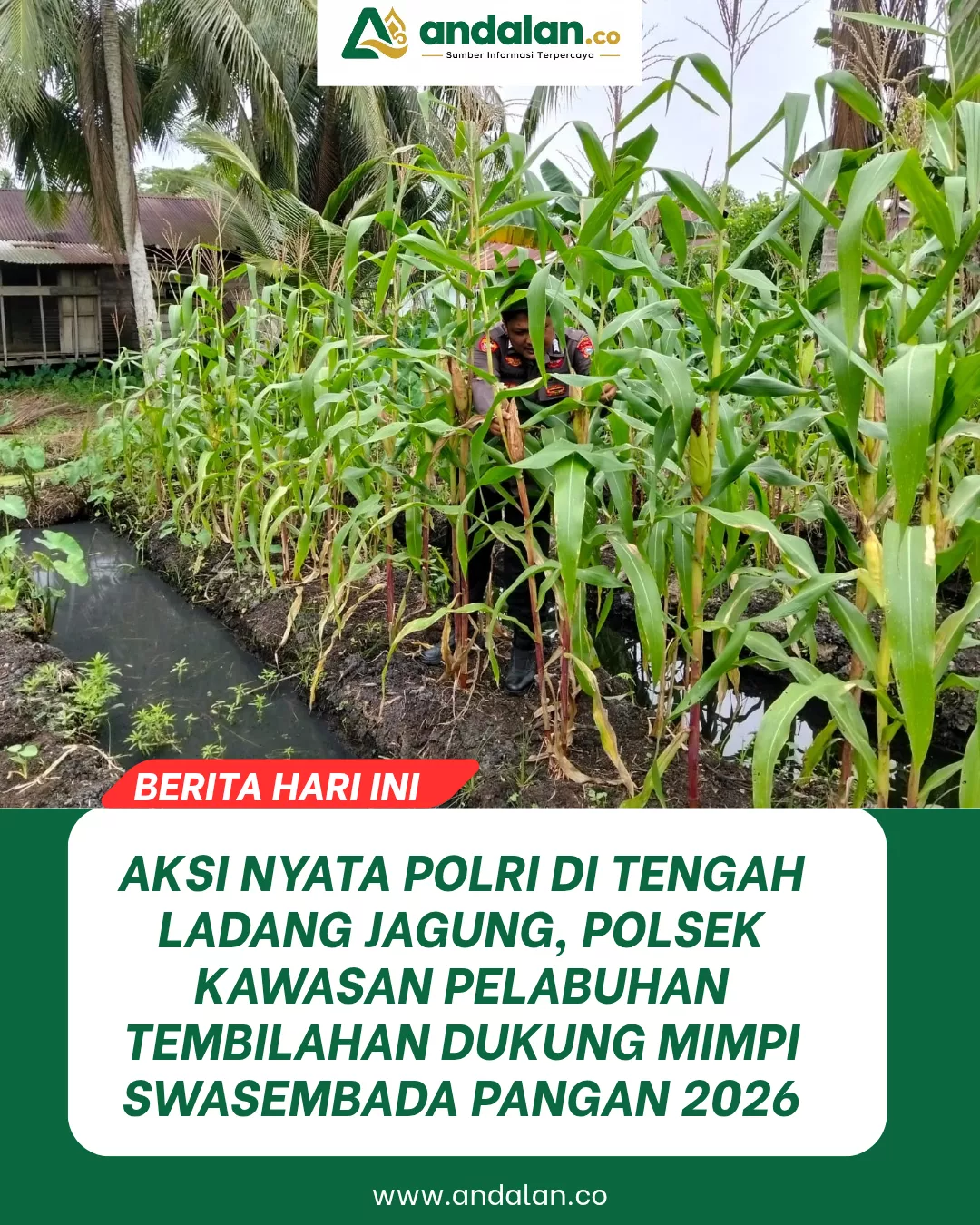 Aksi Nyata Polri di Tengah Ladang Jagung, Polsek Kawasan Pelabuhan Tembilahan Dukung Mimpi Swasembada Pangan 2026