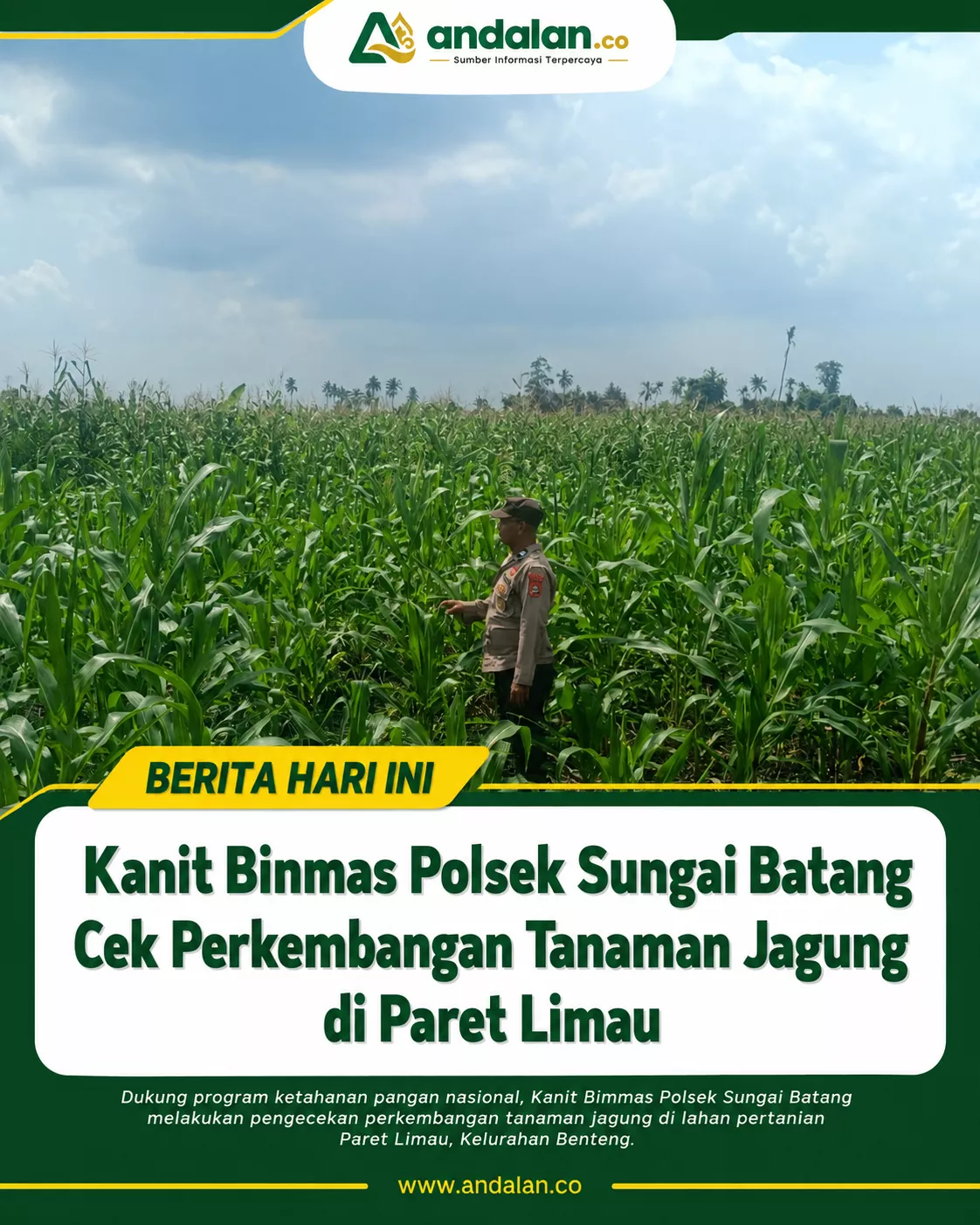 Polsek Sungai Batang Kawal Program Ketahanan Pangan, Pertumbuhan Tanaman Jagung di Paret Limau Dipantau Intensif