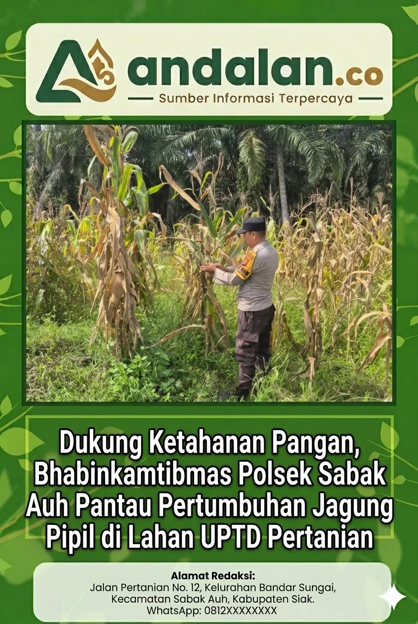 Dukung Ketahanan Pangan, Bhabinkamtibmas Polsek Sabak Auh Pantau Pertumbuhan Jagung Pipil di Lahan UPTD Pertanian