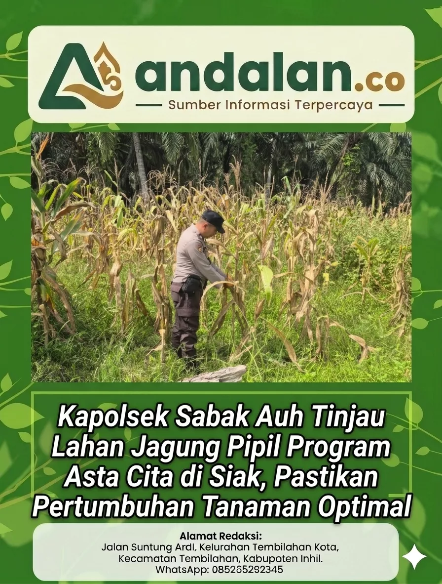 Kapolsek Sabak Auh Tinjau Lahan Jagung Pipil Program Asta Cita di Siak, Pastikan Pertumbuhan Tanaman Optimal