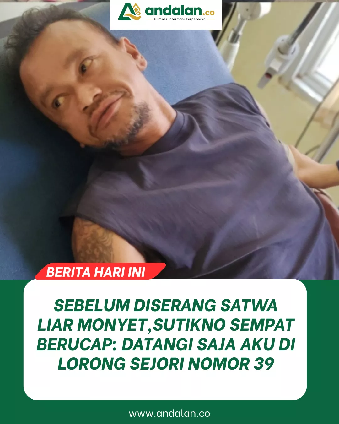 Sebelum Diserang Satwa Liar Monyet, Sutikno Sempat Berucap: Datangi Saja Aku di Lorong Sejori Nomor 39