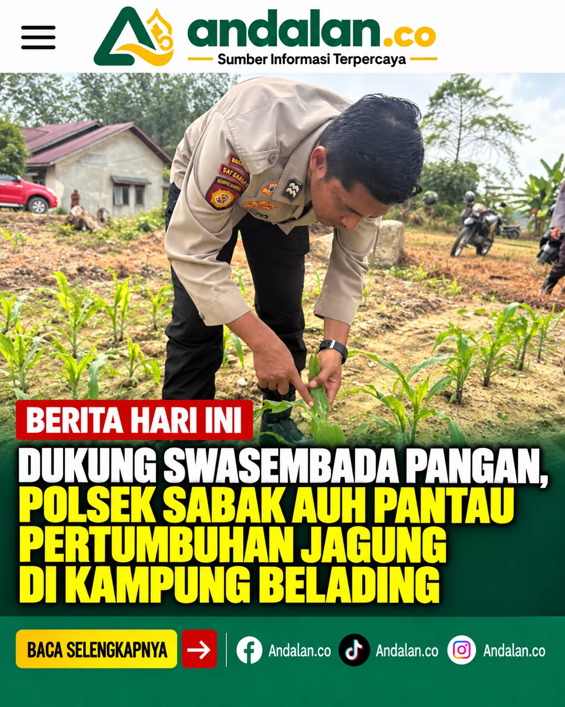 Dukung Swasembada Pangan, Polsek Sabak Auh Pantau Pertumbuhan Jagung di Kampung Belading