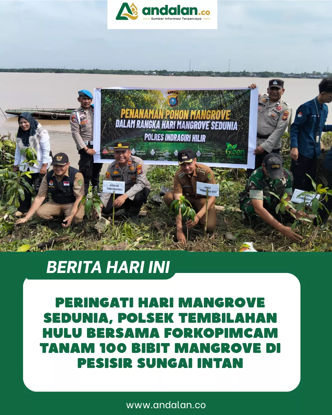 Peringati Hari Mangrove Sedunia, Polsek Tembilahan Hulu Bersama Forkopimcam Tanam 100 Bibit Mangrove di Pesisir Sungai Intan