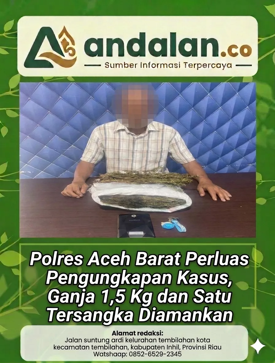 Polres Aceh Barat Perluas Pengungkapan Kasus, Ganja 1,5 Kg dan Satu Tersangka Diamankan