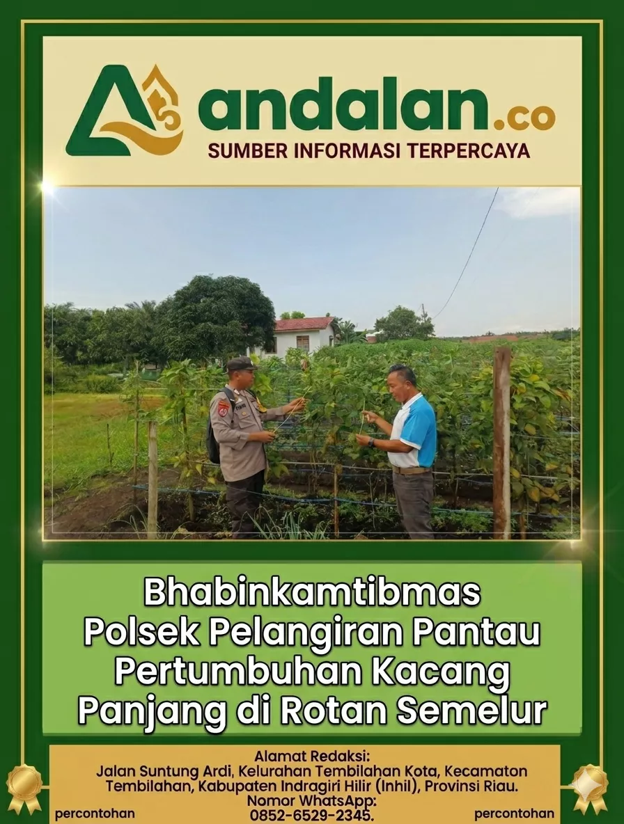 Bhabinkamtibmas Polsek Pelangiran Pantau Pertumbuhan Kacang Panjang di Rotan Semelur