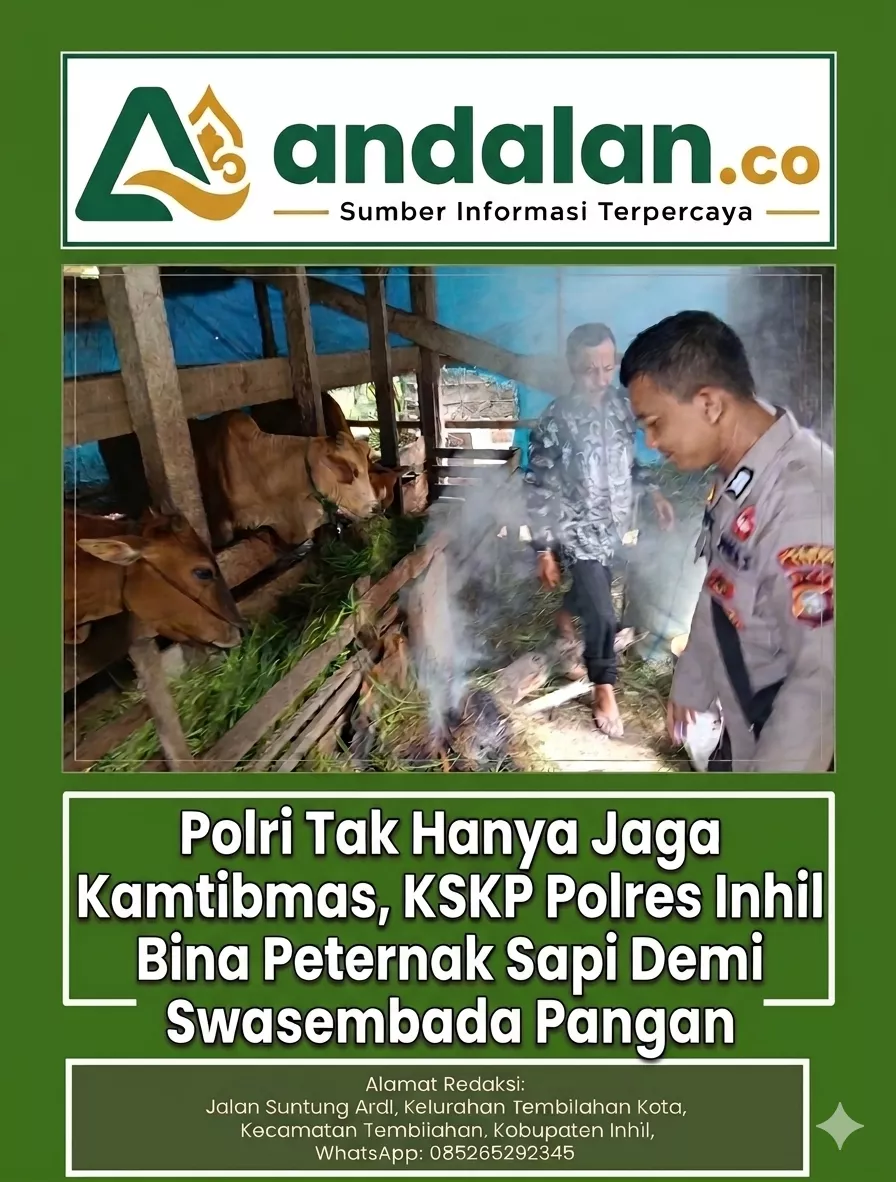Polri Tak Hanya Jaga Kamtibmas, KSKP Polres Inhil Bina Peternak Sapi Demi Swasembada Pangan