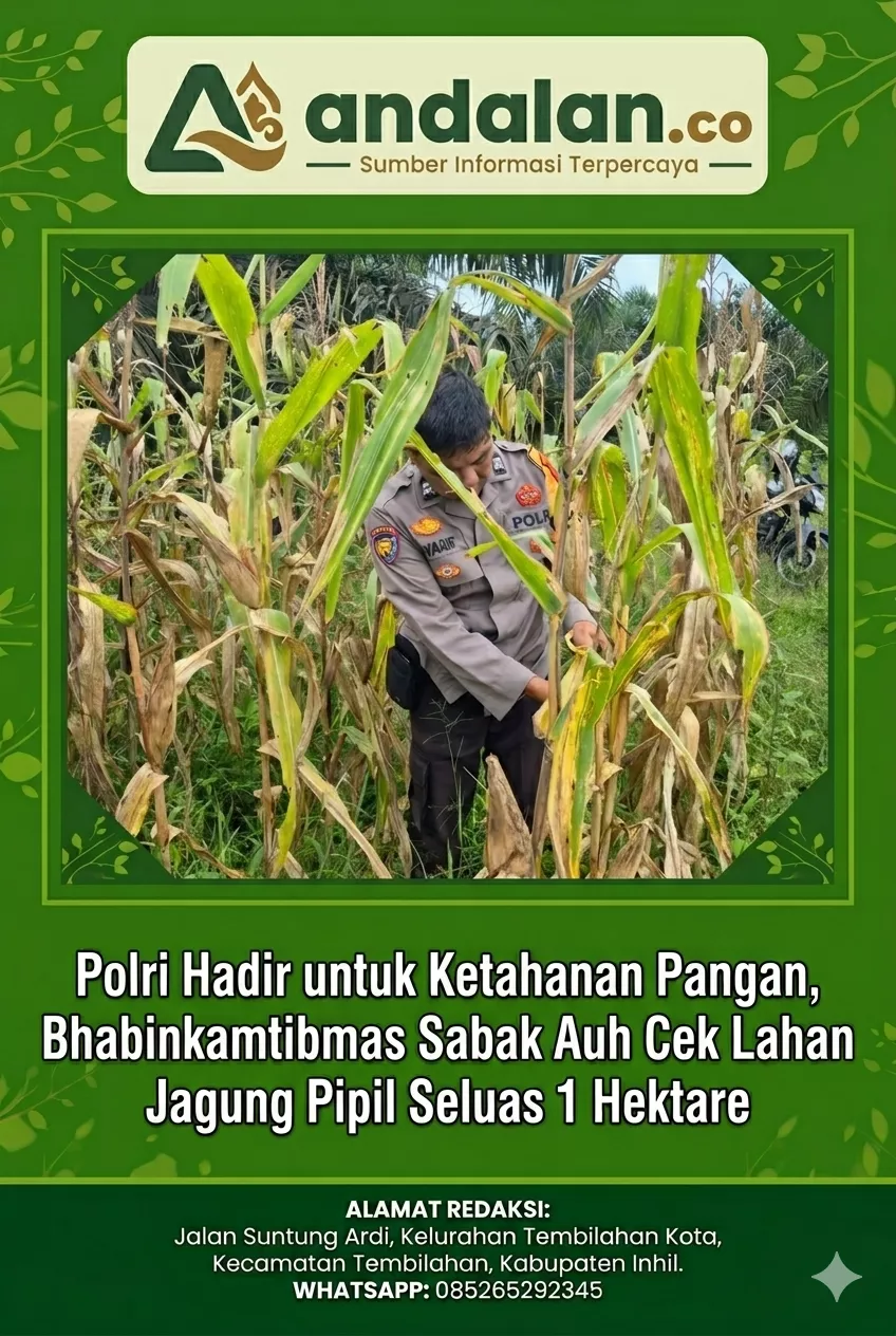 Polri Hadir untuk Ketahanan Pangan, Bhabinkamtibmas Sabak Auh Cek Lahan Jagung Pipil Seluas 1 Hektare