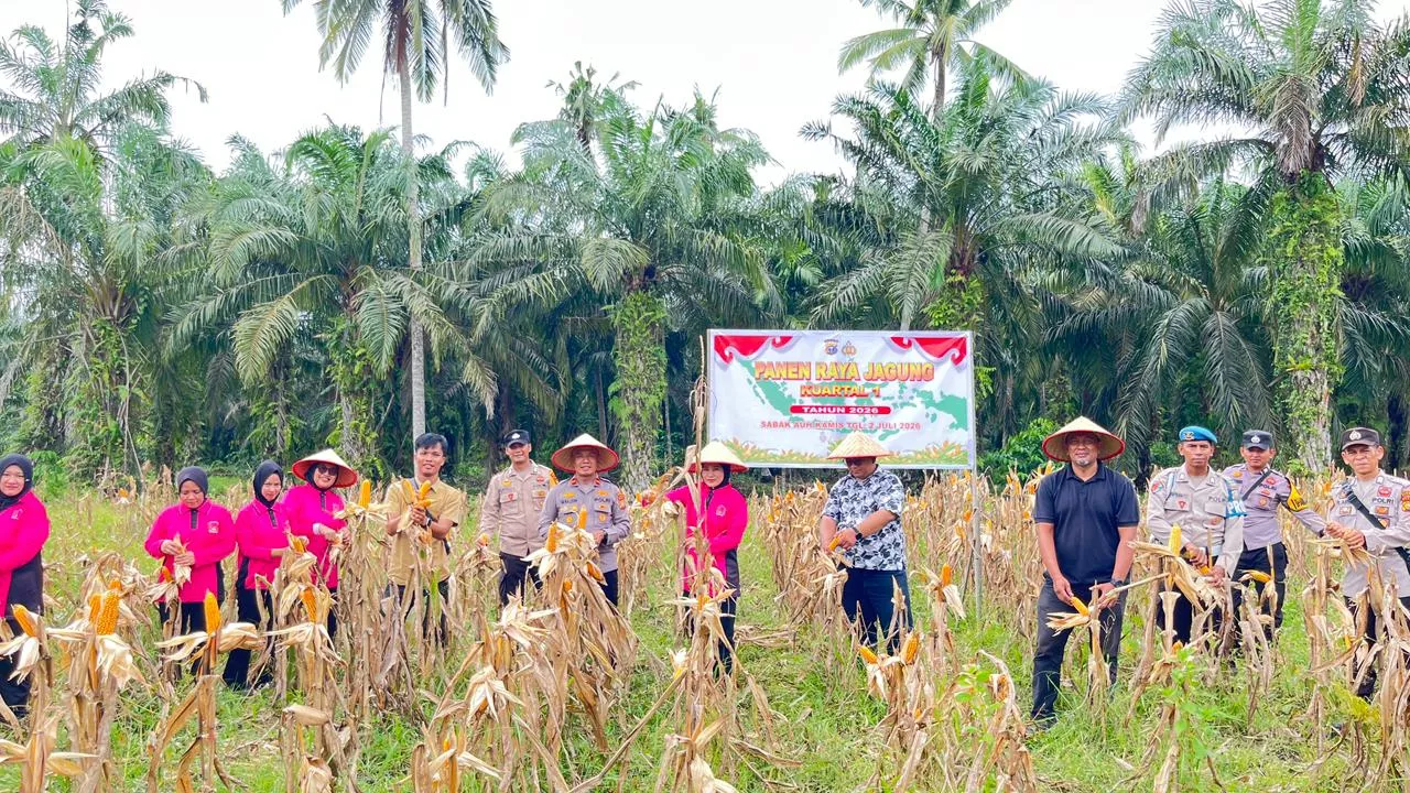 Panen Jagung Tinggal Sepekan, Polsek Sabak Auh Pastikan Program Ketahanan Pangan Berjalan Optimal