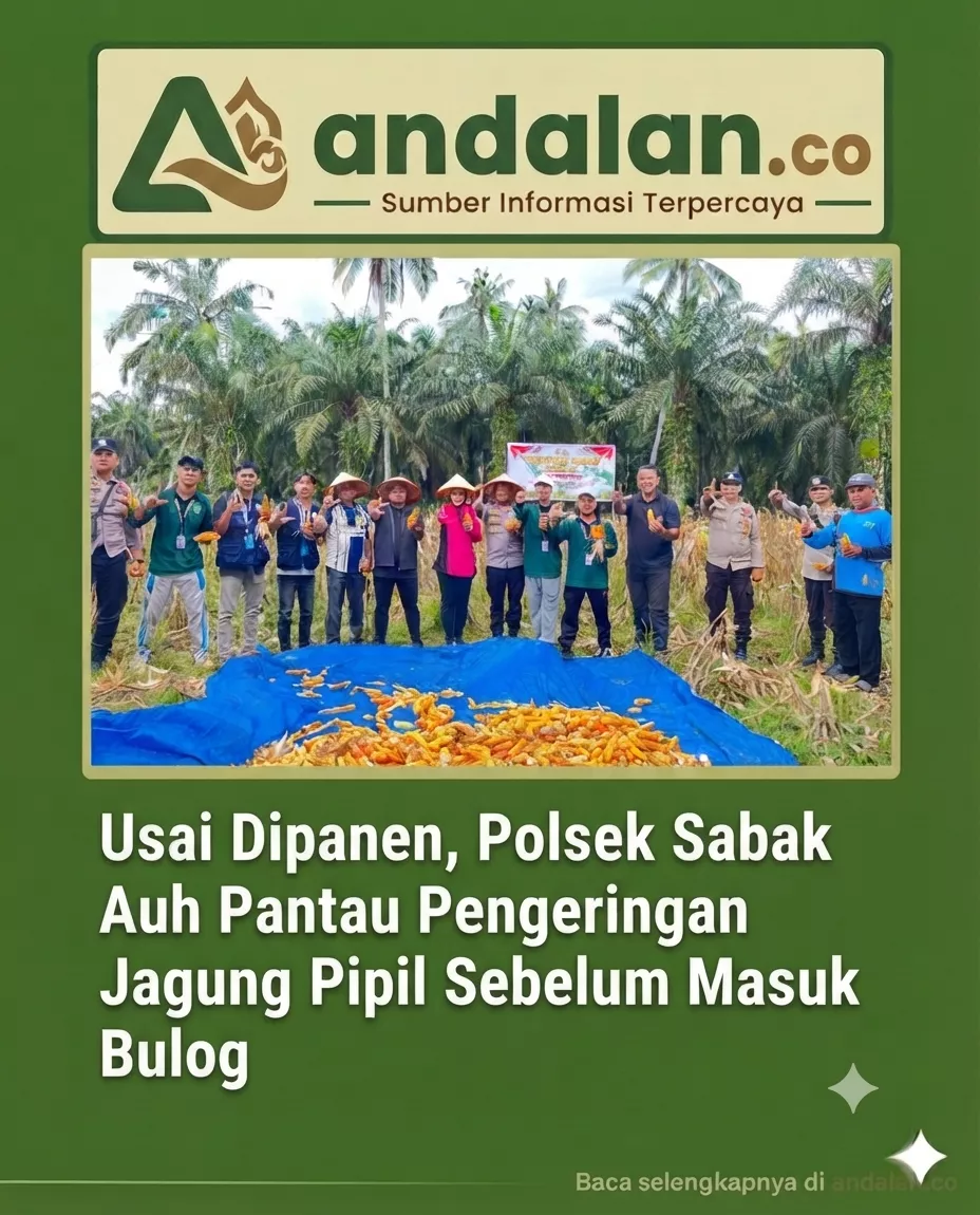 Usai Dipanen, Polsek Sabak Auh Pantau Pengeringan Jagung Pipil Sebelum Masuk Bulog