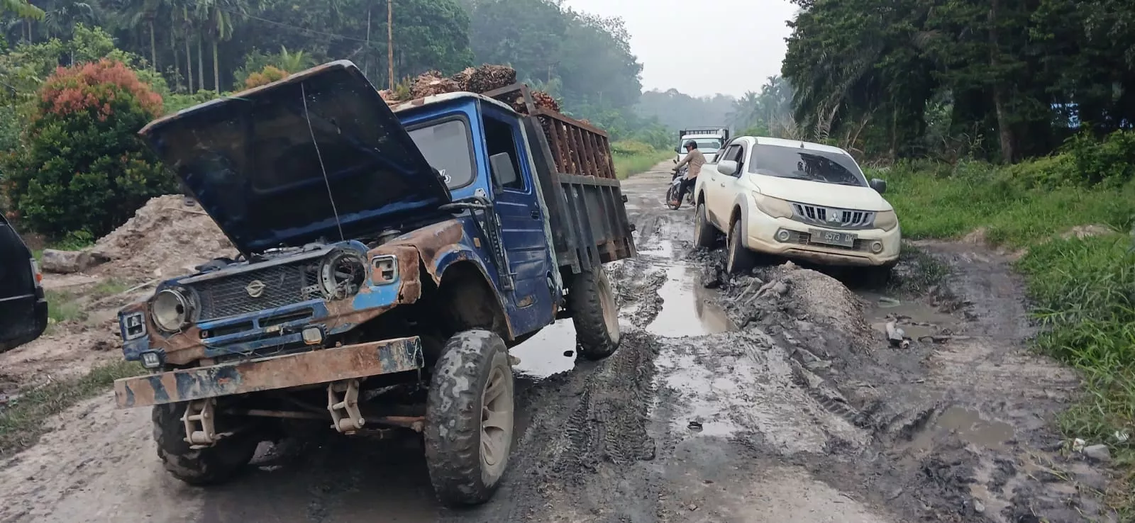 Masyarakat Hutan Panjang Merasa di Anaktirikan, Jalan Menuju Titi Akar Tak Kunjung di Perbaiki