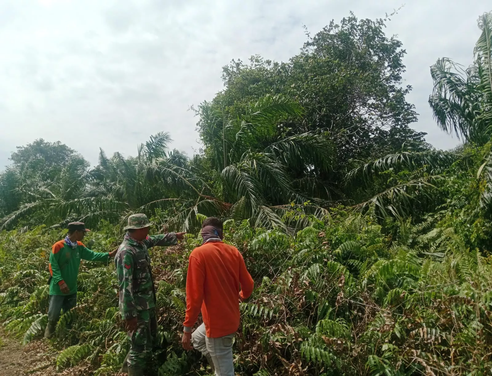 Babinsa Koramil 04/Rupat Gelar Patroli Karhutla di Kelurahan Terkul, Imbau Warga Tidak Membakar Lahan