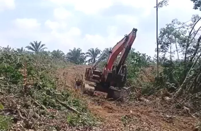 Diduga Bisnis Emas Haram di Pasaman Barat Makin Kritis:  Puluhan Ekskavator Beroperasi