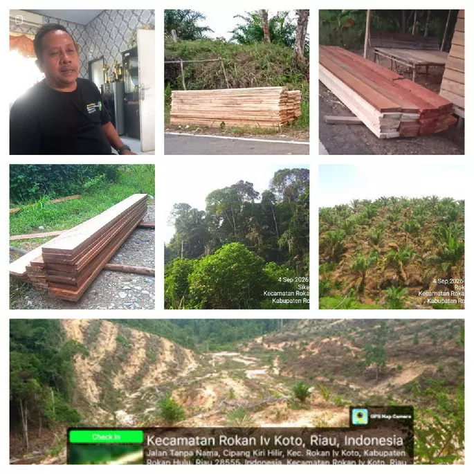 Hutan Lindung Bukit Suligi Kritis, Terus Digunduli dan Ditanami Sawit