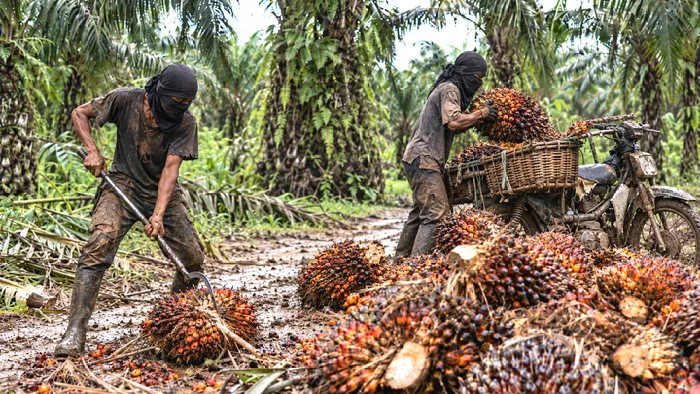 PTPN IV Regional III Dukung Gebrakan Kapolri Berantas Narkoba