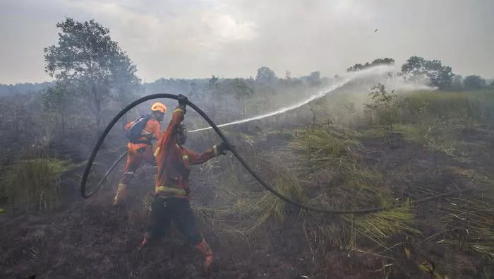Antisipasi Karhutla, PTPN IV PalmCo Perkuat Deteksi Dini dan Patroli di Sumatera-Kalimantan