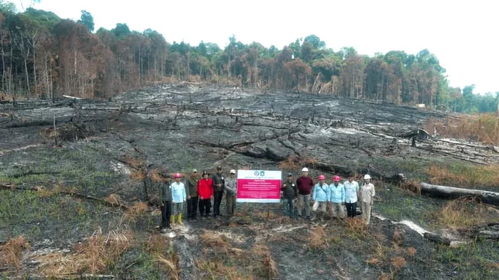 Kemenhut Jatuhkan Sanksi 6 Perusahaan Terkait Karhutla, Hingga Pembekuan Perizinan Berusaha