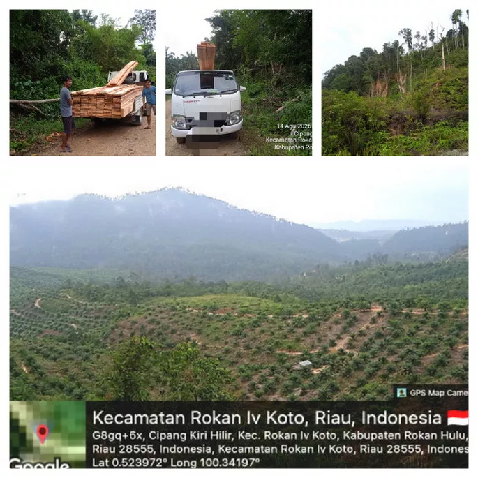 Truk Angkut Kayu Gergajian Keluar Masuk Rokan IV Koto dari HPT 35.198 Ha, Kapolsek: Itu Kayu Oknum TNI