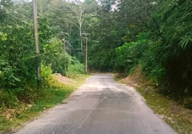 Masyarakat PAPATAR Berharap Pemprov Sumut Bangun Jalan Penghubung Humbahas-Pakpak Bharat